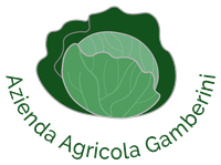 Logo Gamberini